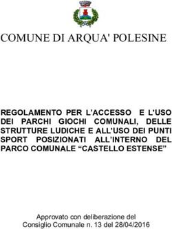 COMUNE DI ARQUA' POLESINE