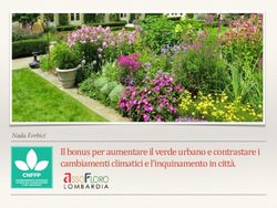 Il bonus per aumentare il verde urbano e contrastare i cambiamenti climatici e l'inquinamento in città - Nada Forbici - village24.it