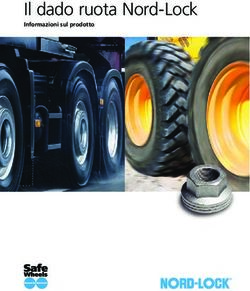 Il dado ruota Nord-Lock - Informazioni sul prodotto - Vimat Viterie