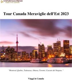 Tour Canada Meraviglie dell'Est 2023 - Viaggi in Canada "Montreal, Quebec, Tadoussac, Ottawa, Toronto, Cascate del Niagara. " - Mundo Escondido