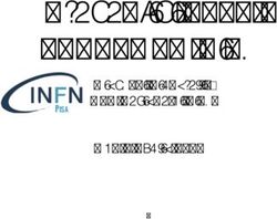 PREVENTIVI 2020 LSPE INFN PISA - GIOVANNI SIGNORELLI INFN SEZIONE DI PISA CDS 4 LUGLIO 2019