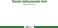Tavolo Istituzionale Aria - Milano, 30/07/2018 - Regione Lombardia
