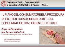 IL PIANO DEL CONSUMATORE E LA PROCEDURA DI RISTRUTTURAZIONE DEI DEBITI DEL CONSUMATORE TRA PRESENTE E FUTURO - Corso di Formazione per Gestori ...