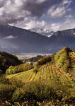 Agroalimentare in Trentino - edizione 2018 DATI 2017 SULLE PRODUZIONI DEL TERRITORIO - Palazzo Roccabruna