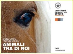 2020 III EDIZIONE - Uniud