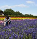Tomamu Hokkaido Giappone - Hokkaido