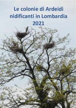Le colonie di Ardeidi nidificanti in Lombardia 2021 - Airone , foto