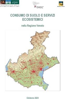 CONSUMO DI SUOLO E SERVIZI ECOSISTEMICI - nella Regione Veneto - Edizione 2020 - Arpa Veneto