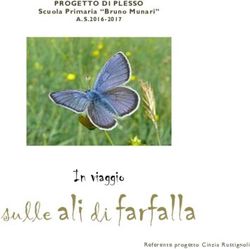 Sulle ali di farfalla - In viaggio - PROGETTO DI PLESSO Scuola Primaria "Bruno Munari" - Direzione Didattica Cesena 5 Circolo