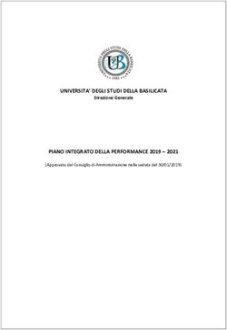 UNIVERSITA' DEGLI STUDI DELLA BASILICATA PIANO INTEGRATO DELLA PERFORMANCE 2019 2021 - Direzione Generale