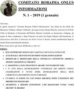 COMITATO RORAIMA ONLUS INFORMAZIONI