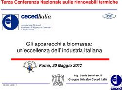 Gli apparecchi a biomassa: un'eccellenza dell' industria italiana - Terza Conferenza Nazionale sulle rinnovabili termiche - Amici della Terra