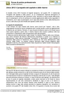 Focus di pratica professionale - di Fabio Giommoni - STSNetwork