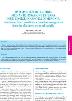 OSTEOSINTESI DELLA TIBIA MEDIANTE FISSAZIONE ESTERNA IN UN CONIGLIO NANO DA COMPAGNIA: Veterinaria