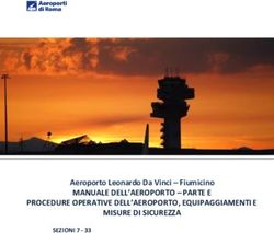 Aeroporto Leonardo Da Vinci - Fiumicino - MANUALE DELL'AEROPORTO - PARTE E PROCEDURE OPERATIVE DELL'AEROPORTO, EQUIPAGGIAMENTI E MISURE DI ...