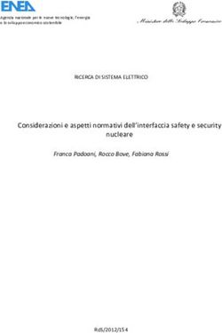 Considerazioni e aspetti normativi dell'interfaccia safety e security nucleare - RICERCA DI SISTEMA ELETTRICO