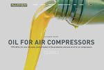 High performance synthetic lubricants for Compressors and Vacuum pumps - LUBRIFICANTI SINTETICI AD ALTISSIME PRESTAZIONI PER COMPRESSORI E POMPE ...