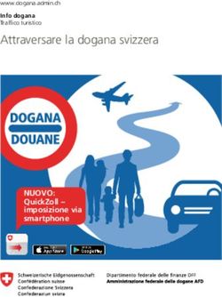 Attraversare la dogana svizzera
