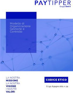 CODICE ETICO - Modello di Organizzazione Gestione e Controllo - Paytipper