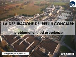 LA DEPURAZIONE DEI REFLUI CONCIARI: problematiche ed esperienze Arzignano, 06 Aprile 2017