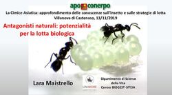 Antagonisti naturali: potenzialità per la lotta biologica - Lara Maistrello - Apo Conerpo