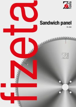 Sandwich panel ITA-ENG - Fizeta