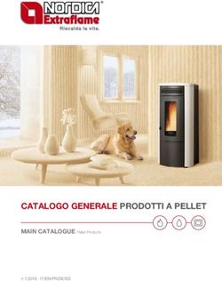 CATALOGO GENERALE PRODOTTI A PELLET - MAIN CATALOGUE Pellet Products n 1.2019 - IT/EN/FR/DE/ES