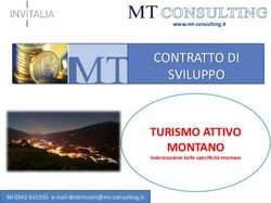 CONTRATTO DI SVILUPPO - TURISMO ATTIVO MONTANO Inserire un disegno - MT Consulting