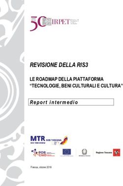 REVISIONE DELLA RIS3 LE ROADMAP DELLA PIATTAFORMA "TECNOLOGIE, BENI CULTURALI E CULTURA" - Open Toscana