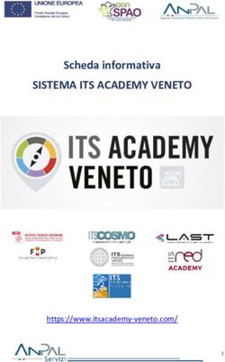 SISTEMA ITS ACADEMY VENETO - Scheda informativa - I.I.S ...