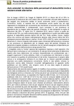 Focus di pratica professionale - di Luca Caramaschi