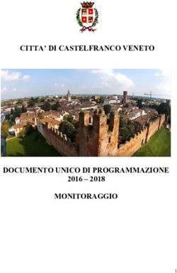 CITTA' DI CASTELFRANCO VENETO - DOCUMENTO UNICO DI PROGRAMMAZIONE MONITORAGGIO 2016 2018 1 - Comune di Castelfranco Veneto