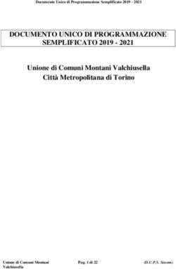 DOCUMENTO UNICO DI PROGRAMMAZIONE SEMPLIFICATO 2019 2021 - Unione di Comuni Montani Valchiusella Città Metropolitana di Torino Documento Unico ...