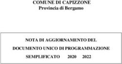 COMUNE DI CAPIZZONE NOTA DI AGGIORNAMENTO DEL DOCUMENTO UNICO DI PROGRAMMAZIONE SEMPLIFICATO 2020