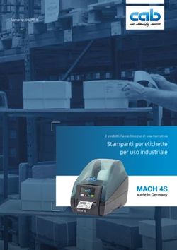 Stampanti per etichette per uso industriale - I prodotti hanno bisogno di una marcatura - Versione: 09/2019 - cab Produkttechnik GmbH