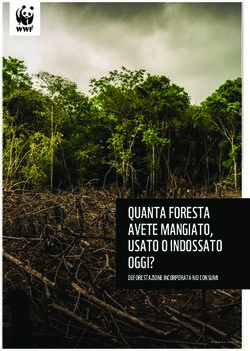 QUANTA FORESTA AVETE MANGIATO, USATO O INDOSSATO OGGI? - DEFORESTAZIONE INCORPORATA NEI CONSUMI - greenMe