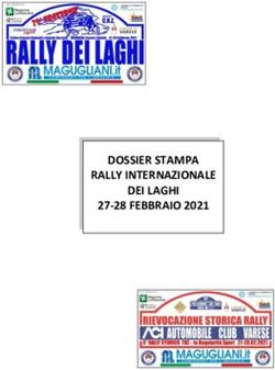 DOSSIER STAMPA RALLY INTERNAZIONALE DEI LAGHI 27-28 FEBBRAIO 2021 - RALLY DEI LAGHI
