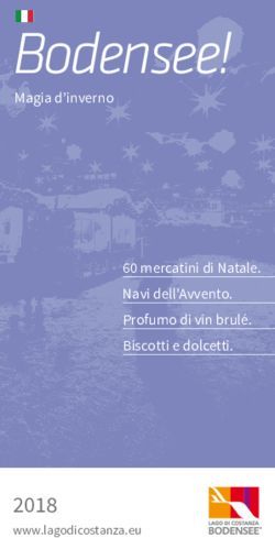 Bodensee! Magia d'inverno 60 mercatini di Natale. Navi dell'Avvento. Profumo di vin brulé. Biscotti e dolcetti.