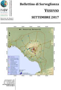 VESUVIO Bollettino di Sorveglianza - Sezione di Napoli