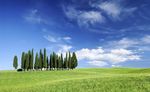Tuscany Travel Experiences T.o - Toscana e non solo