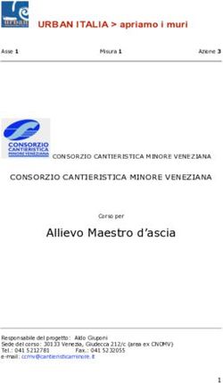Allievo Maestro d'ascia - URBAN ITALIA apriamo i muri - Comune di Venezia.