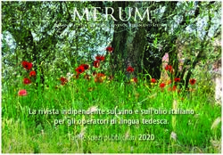 La rivista indipendente sul vino e sull'olio italiano per gli operatori di lingua tedesca - Tariffe spazi pubblicitari 2020 - Merum