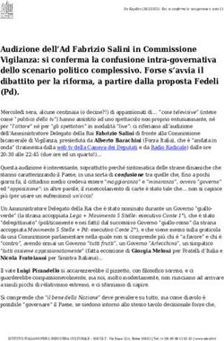 Audizione dell'Ad Fabrizio Salini in Commissione Vigilanza: si conferma la confusione intra-governativa dello scenario politico complessivo. Forse ...