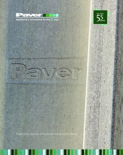 Tradizione, qualit&agrave; ed innavazione al vostro fianco - anni da oltre - Paver ...