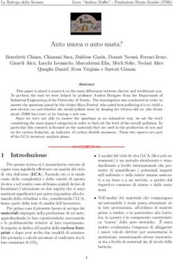 Auto nuova o auto usata? - Fondazione Bruno Kessler