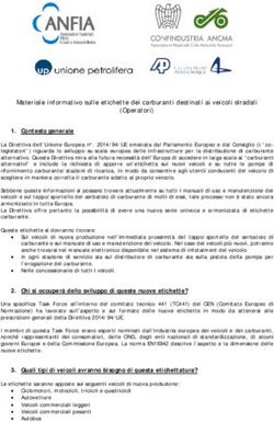 Materiale informativo sulle etichette dei carburanti destinati ai veicoli stradali (Operatori)