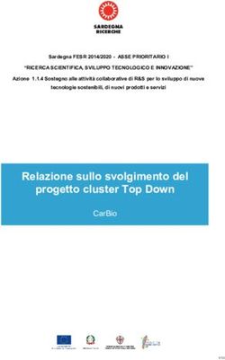 Relazione sullo svolgimento del progetto cluster Top Down