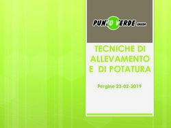 TECNICHE DI ALLEVAMENTO E DI POTATURA - Pergine 23-02-2019 - Punto Verde Xausa