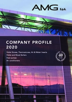 COMPANY PROFILE Pellet Stoves, Thermostoves, Air & Water Inserts Pellet and Wood Boilers - BIOEDILAPULIA