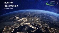 Investor Presentation - 29 Marzo 2021 AFT - Esi Spa